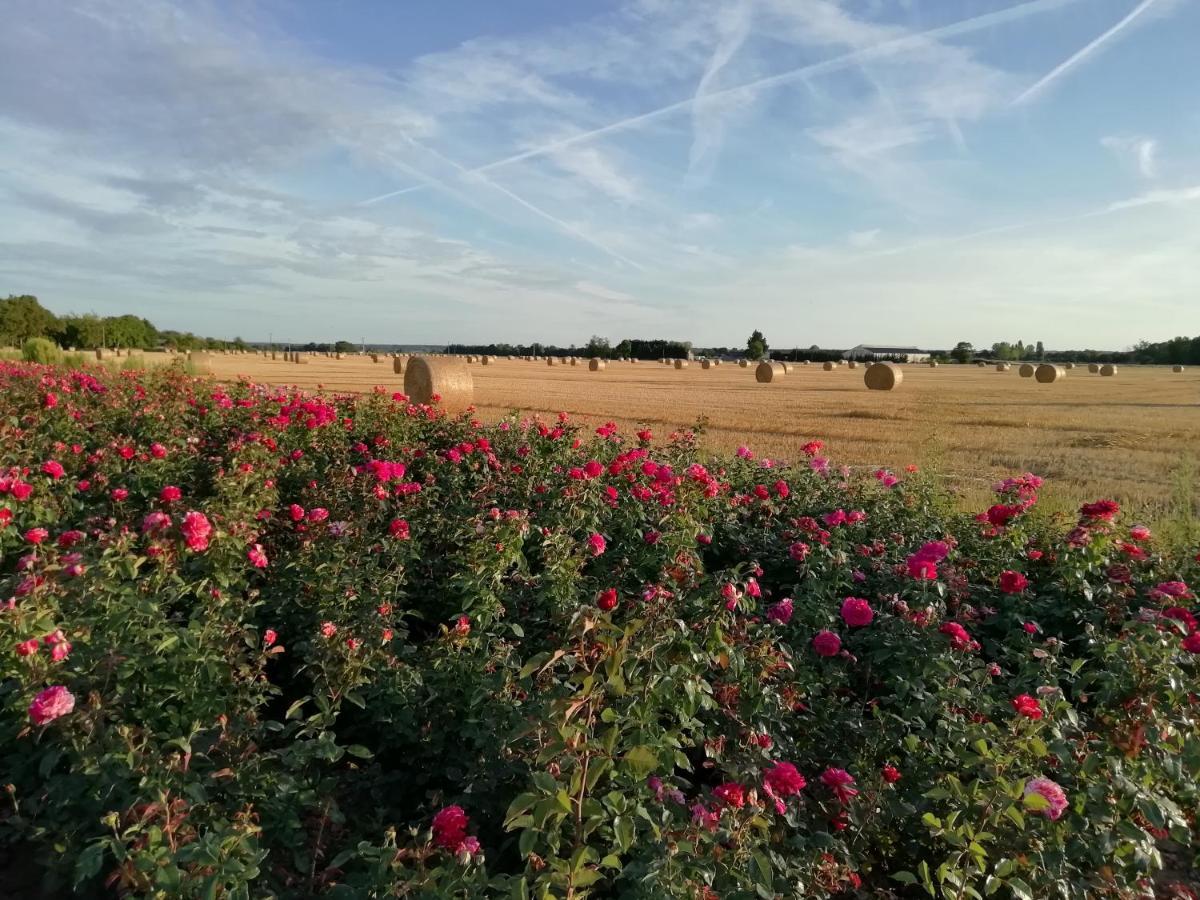 La Planche Princee, Chambres D'Hotes Ecolo Et Potager Bio, Sauna Les Rosiers 外观 照片